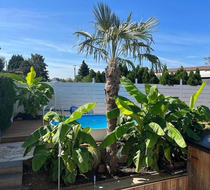 Ferienwohnung für 4 Personen, mit Garten und Sauna sowie Pool und Ausblick in Rheinebene - 2