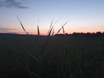 Vakantiehuis voor 8 Personen in Kramnitse, Lolland, Afbeelding 3