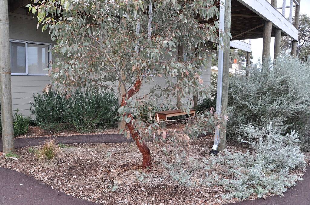 Moore River Retreat - Guilderton in Guilderton, Western Australia