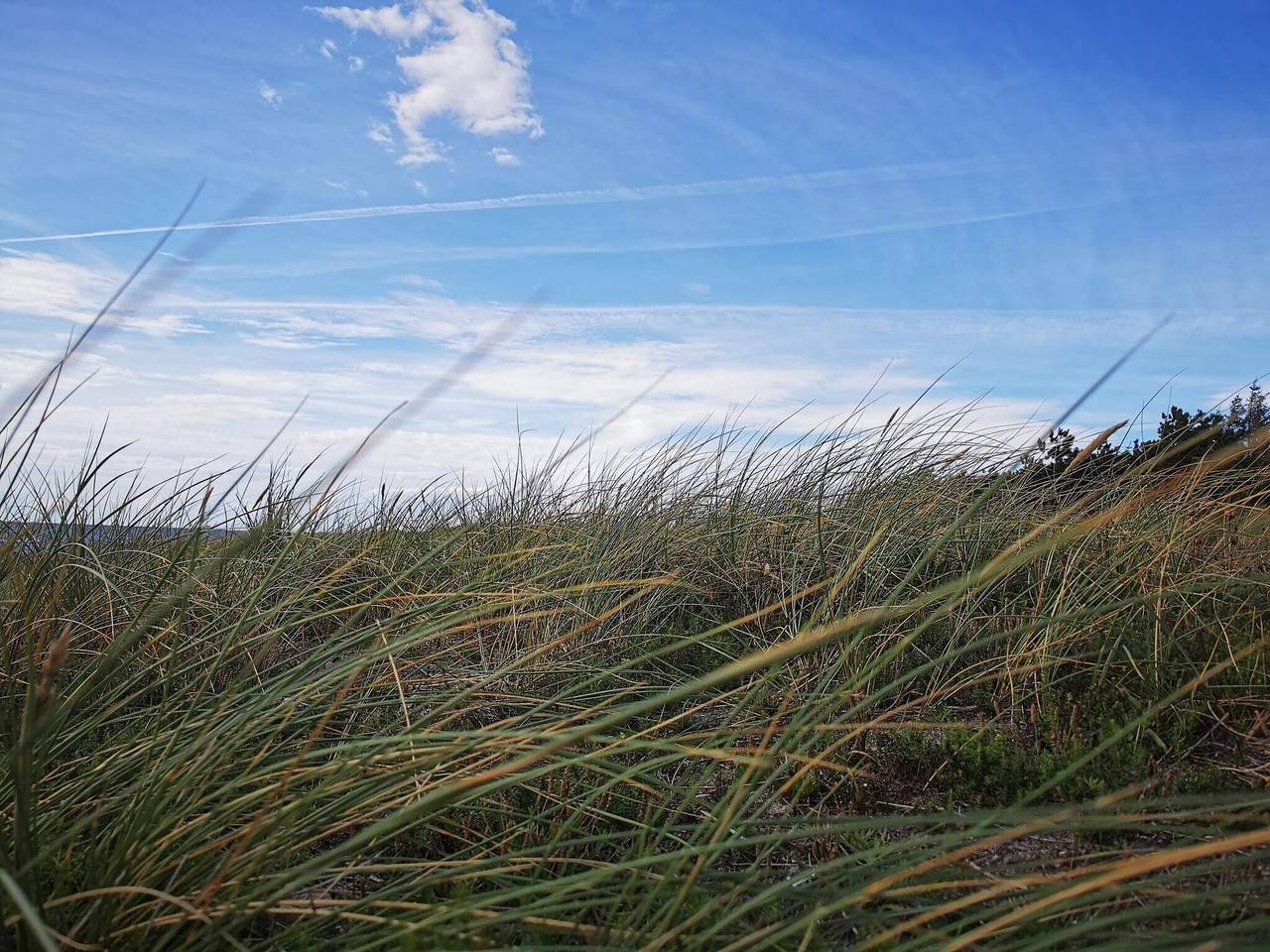 Ruhiges Refugium am Strand in Hyldtofte Østersøbad, Rødby