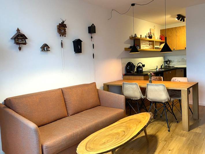 Ferienwohnung für 4 Personen, mit Sauna und Balkon, kinderfreundlich in Schluchsee - 2