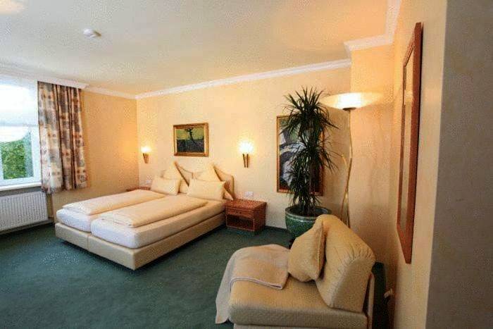 Maison d’hôte pour 2 personnes, avec jardin à Dresde - 4