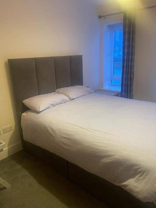 Gîte pour 2 personnes à Kinsale - 4