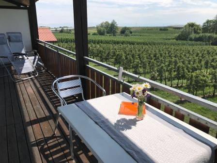 Ganze Ferienwohnung, Erlenhof - Ferienwohnung Typ B, 2-Zimmer-Fewo, 45 qm in Immenstaad am Bodensee, Region Bodensee-Oberschwaben