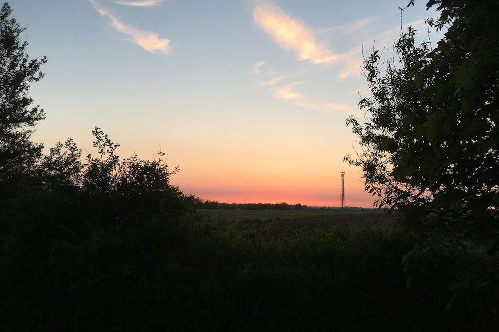Ferienhaus in großem Garten, in der Nähe vom Wattenmeer gelegen in Langenhorn, Grünes Binnenland
