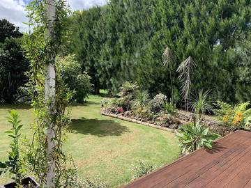 Cottage for 5 People in Northland, New Zealand, Photo 2