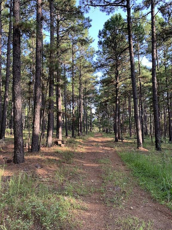 Cabin on Blackberry Hill near Mcgee Creek in Atoka County