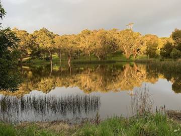 Holiday Home for 4 People in Shoreham, Mornington Peninsula, Photo 4