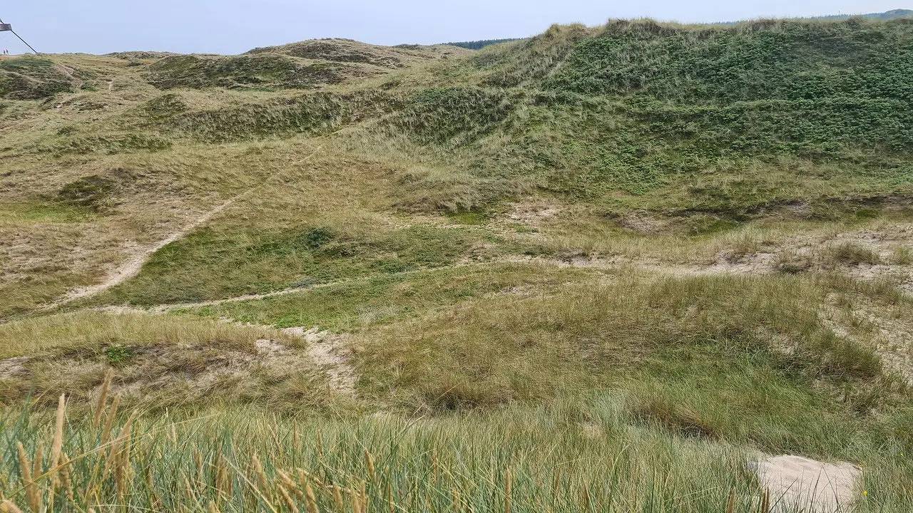 Feriehus for 5 personer med terrasse in Skagen, Tannisbucht
