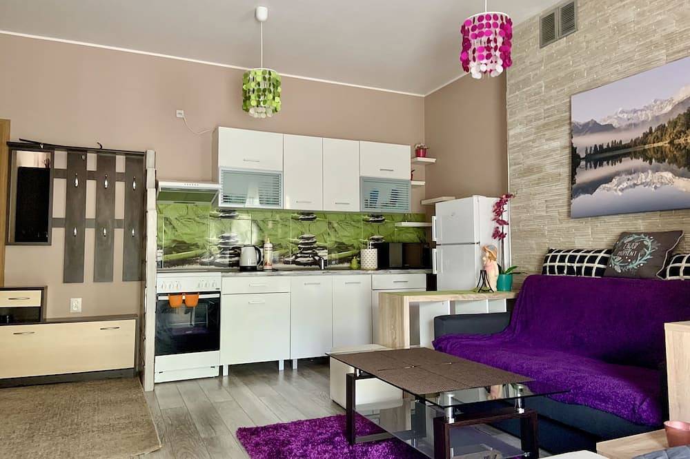 Ganze Wohnung, Sonnige schöne Wohnung in Bielitz-Biala, Schlesien