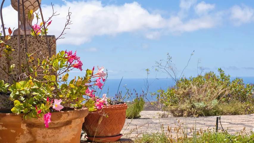 Finca für 3 Personen, mit Garten und Terrasse sowie Pool, mit Haustier in Arico - 2