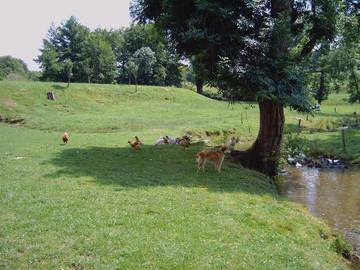 Gîte pour 6 Personnes dans Dyo, Saône-et-Loire, Photo 2
