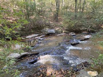 Camping for 6 Guests in Georgia, USA, Picture 4