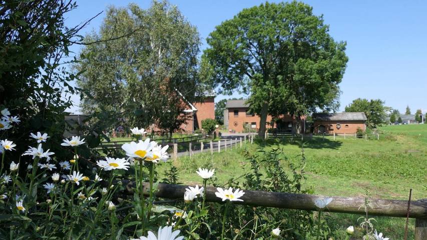 Ferienwohnung für 4 Personen, mit Terrasse und Garten sowie Ausblick in Holzdorf
