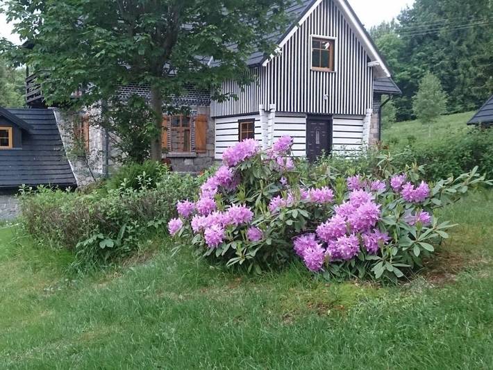 Ferienhaus für 27 Personen, mit Balkon und Garten in Niederschlesien - 3
