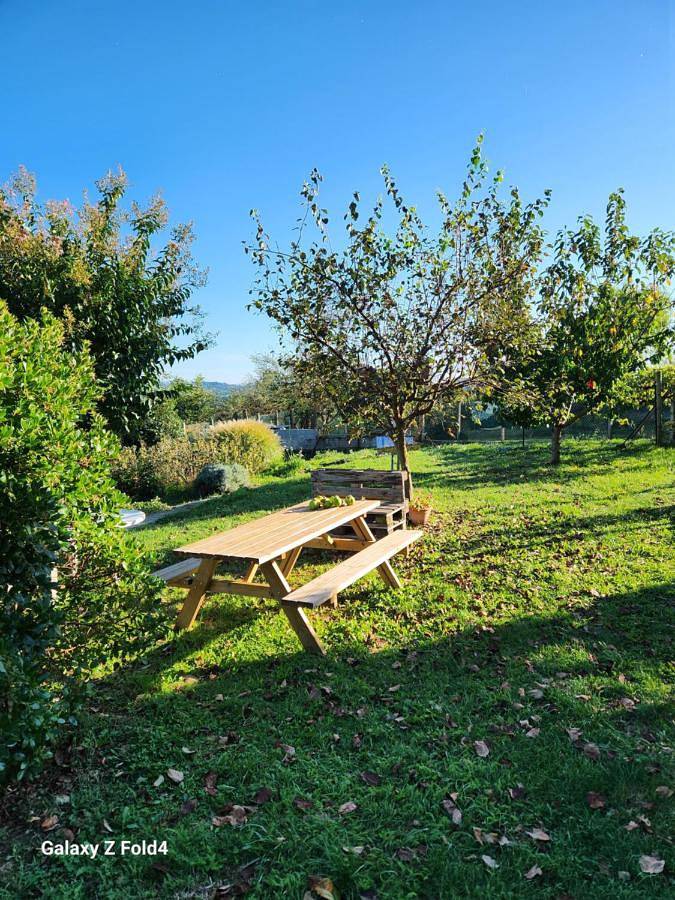 Gîte pour 3 personnes, avec jardin et vue à Châteauneuf-de-Galaure - 4