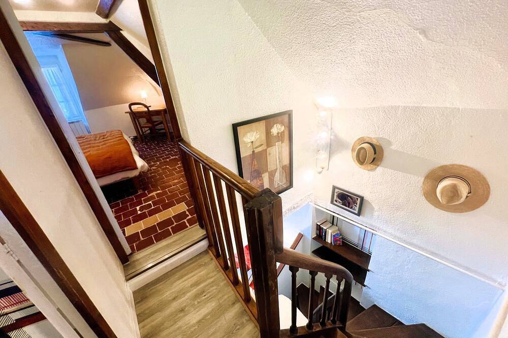 The Squirrels' Enclosure in Amboise, Tours region