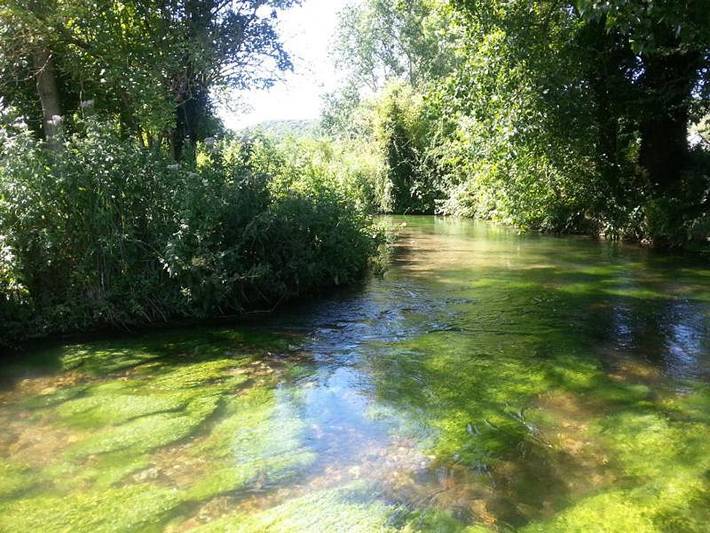 Location de vacances pour 8 personnes, avec terrasse à Colleville - 3