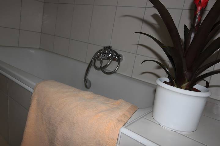 Ferienwohnung für 2 Personen, mit Garten und Balkon in Bad Rippoldsau-Schapbach - 3