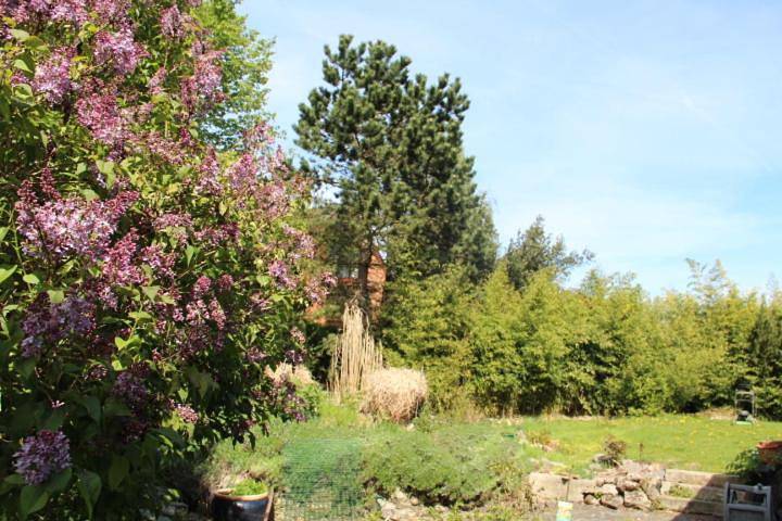 Hôtel pour 2 personnes, avec jardin à Braine-l'Alleud - 3