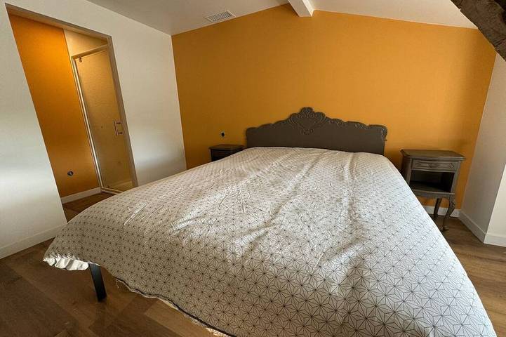 Estate with a Pool, Air Conditioning, Movie Theater, Reception Hall, Boules Court, and More in Nérac, Nérac region