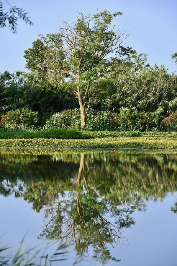 Location de vacances pour 8 personnes, avec jardin dans Le Sambuc - 2