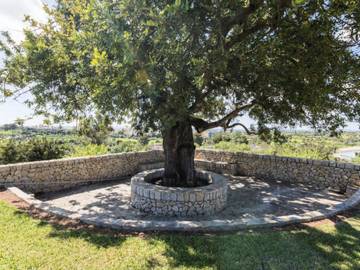 Villa in Inca, Mallorca Inselmitte für 8 