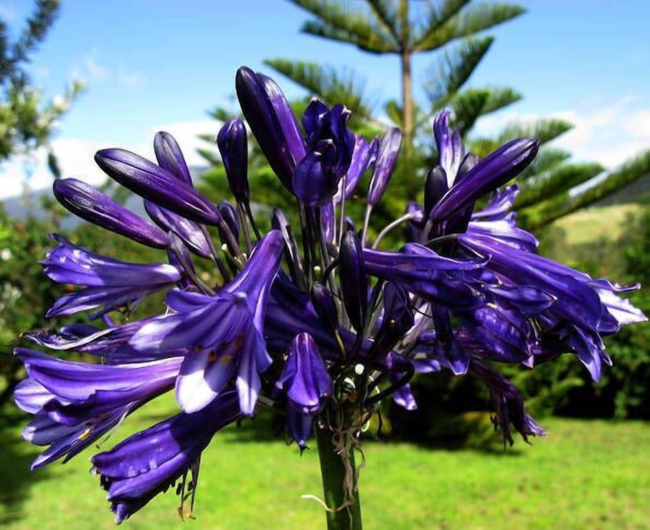 Ganze Wohnung, Toogooloowa über Davey 2 in Hobart, Tasmanien