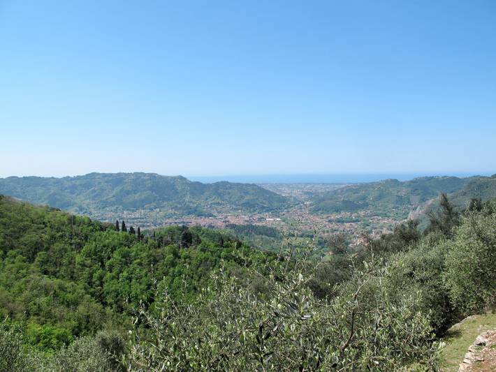 Olivella in Camaiore, Riviera Italienne