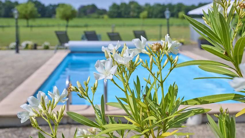 Vakantiehuis voor 5 personen, met tuin en zwembad in Oisterwijk
