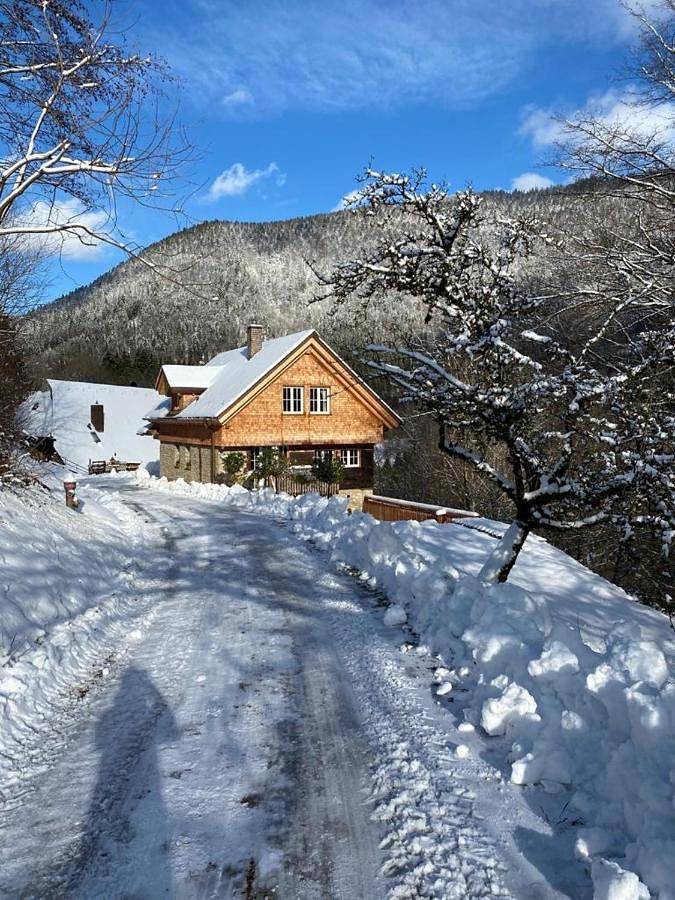 Holiday Home in Simonswald, Südschwarzwald