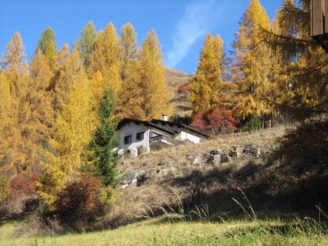 Chesa Giattin° - 5 Zimmerwohnung, 9 Betten in Bergün, Engadin