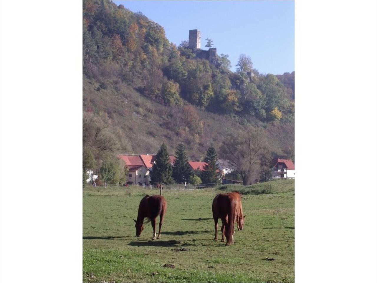 Ganze Ferienwohnung, Haus Elke - Haus Elke in Gomadingen, Neckar-Alb