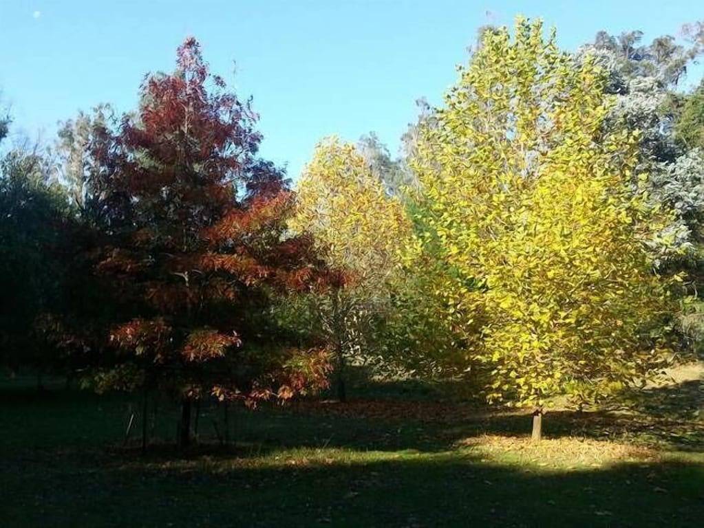 Cottage for 4 People in Western Australia, Australia