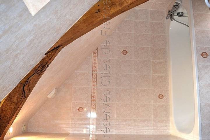 Gîte pour 6 personnes, avec jardin à Channay-sur-Lathan - 4