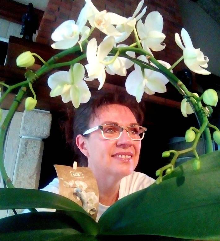 Gîte pour 3 personnes, avec jardin et jacuzzi ainsi que piscine et terrasse, animaux acceptés dans Maine-et-Loire - 2