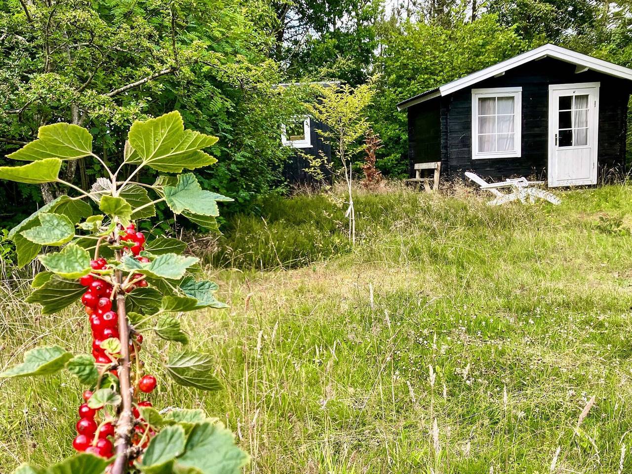 5 Personen Ferienhaus in Vesløs-By Traum in Amtoft, Limfjord in Nordjütland