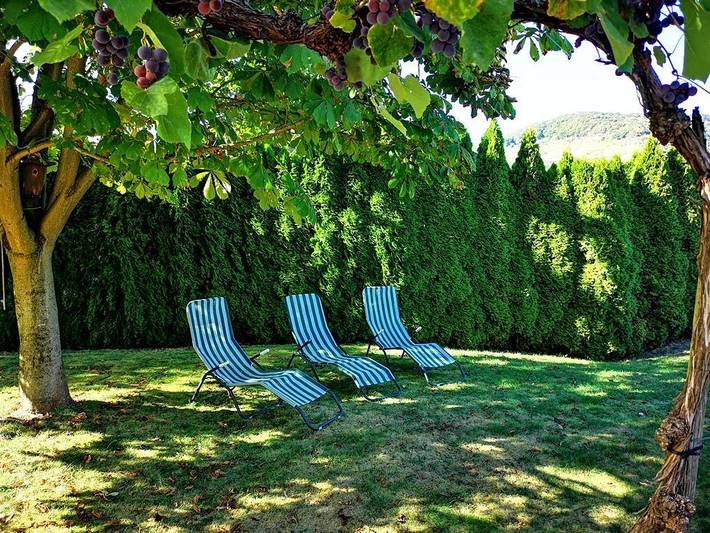 Ferienwohnung für 2 Personen, mit Terrasse und Garten in Traben-Trarbach und Umbegung - 3