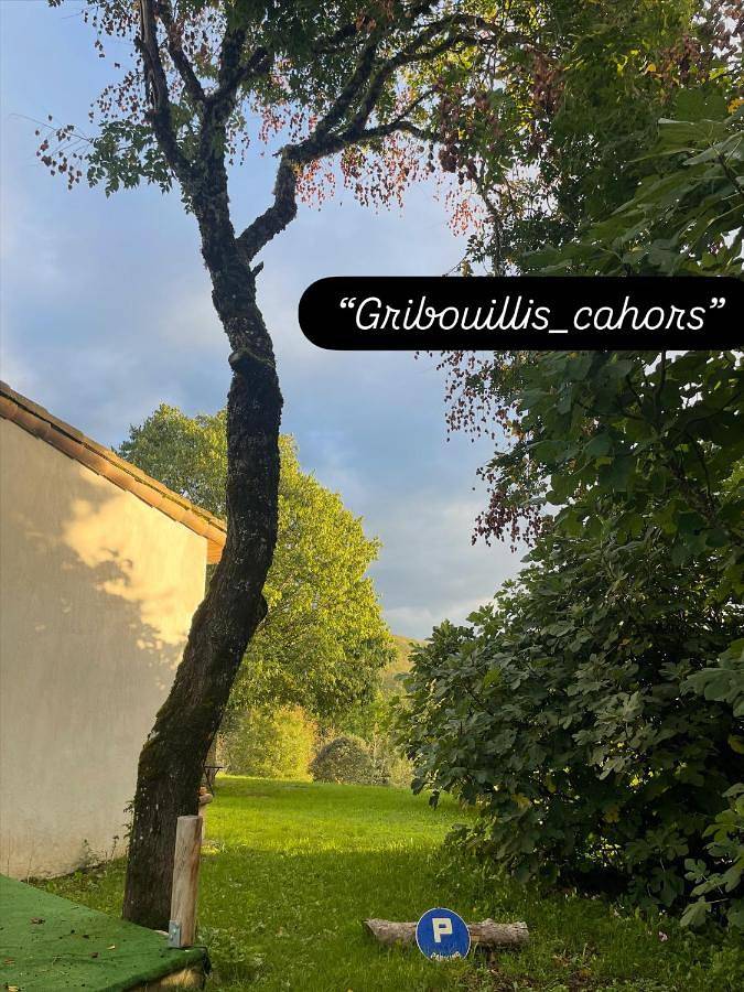 Gîte pour 2 personnes, avec jardin ainsi que piscine et vue à Cahors - 3