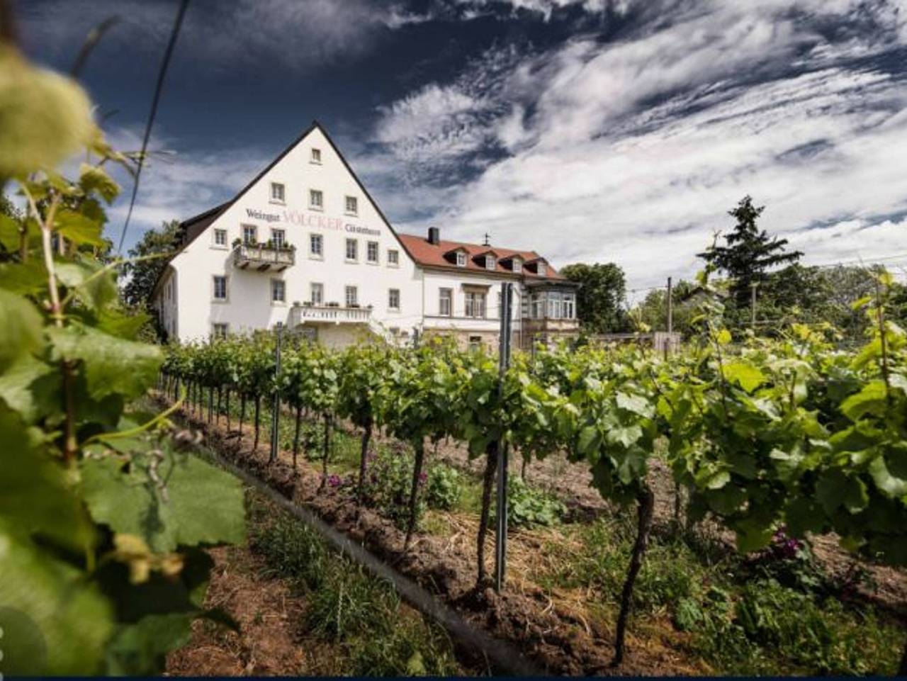 Weingut - Gästehaus Völcker - Doppelzimmer, Dusche, Wc, straßenseitig in Neustadt an der Weinstraße, Pfälzer Rheinebene
