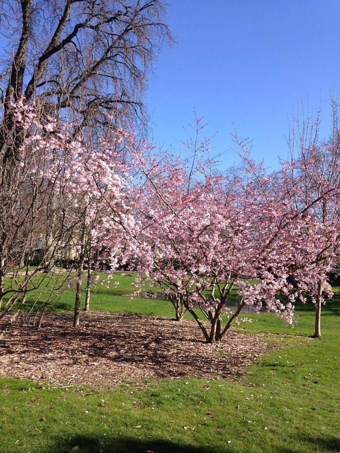 Location de vacances pour 15 personnes, avec vue et piscine ainsi que jardin et terrasse à Artonne - 4