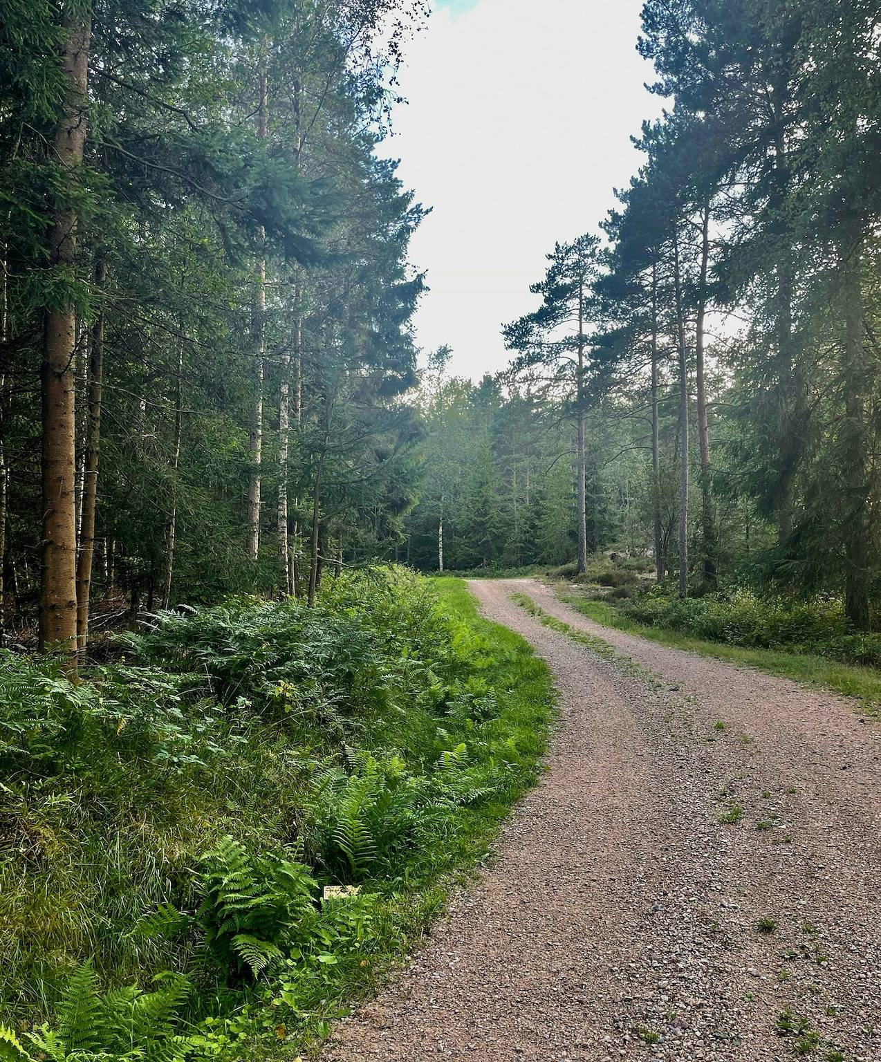 Skogsstuga nära havet på Orust in Orust