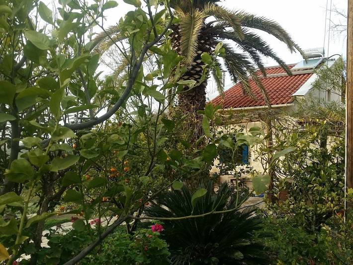 Location de vacances pour 5 personnes, avec terrasse et jardin, animaux acceptés dans Matala