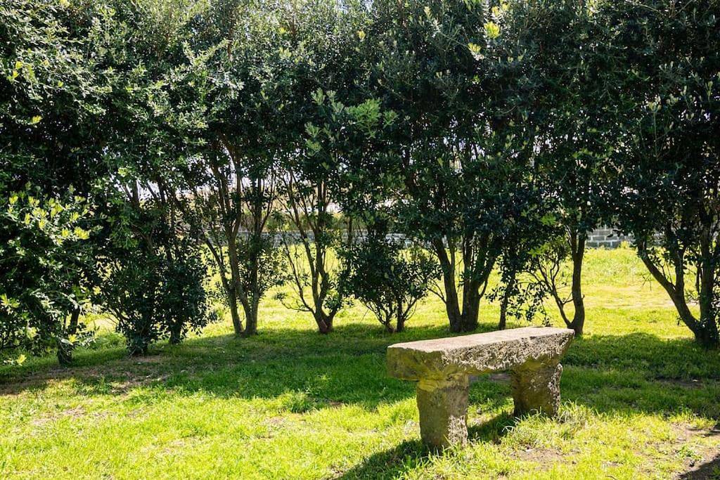 Country House in Azores - S. Miguel in São Miguel Island, Fenais da Ajuda