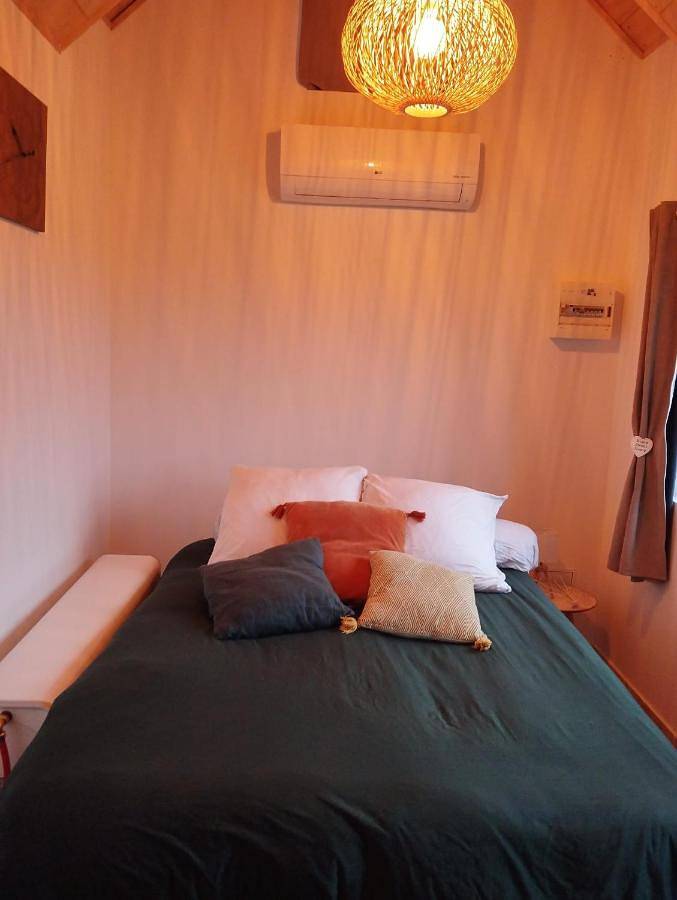 Gîte pour 4 personnes, avec jardin, animaux acceptés à Azay-le-Rideau - 3