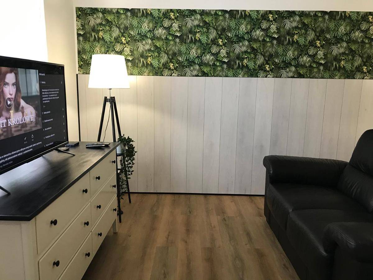 Cały apartament, One-Bedroom Apartment in Płock, Mazowsze