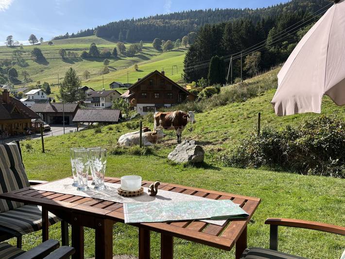 Ferienwohnung für 4 Personen, mit Balkon und Garten im Südschwarzwald