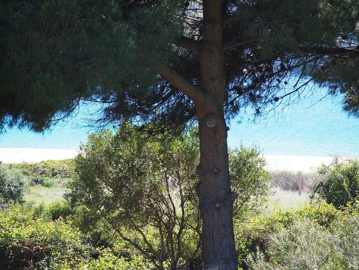 1-Zimmer-Wohnung am Strand in Piana, Ajaccio und Umgebung