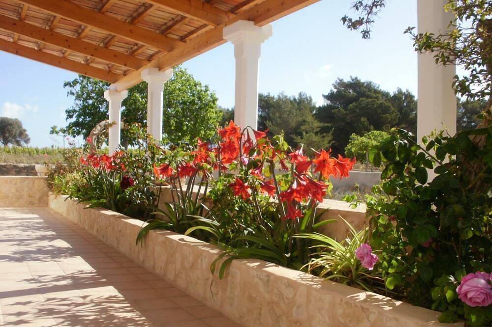 San Francisco: Typisches Landhaus - San francisco in Sant Francesc de Formentera, Formentera