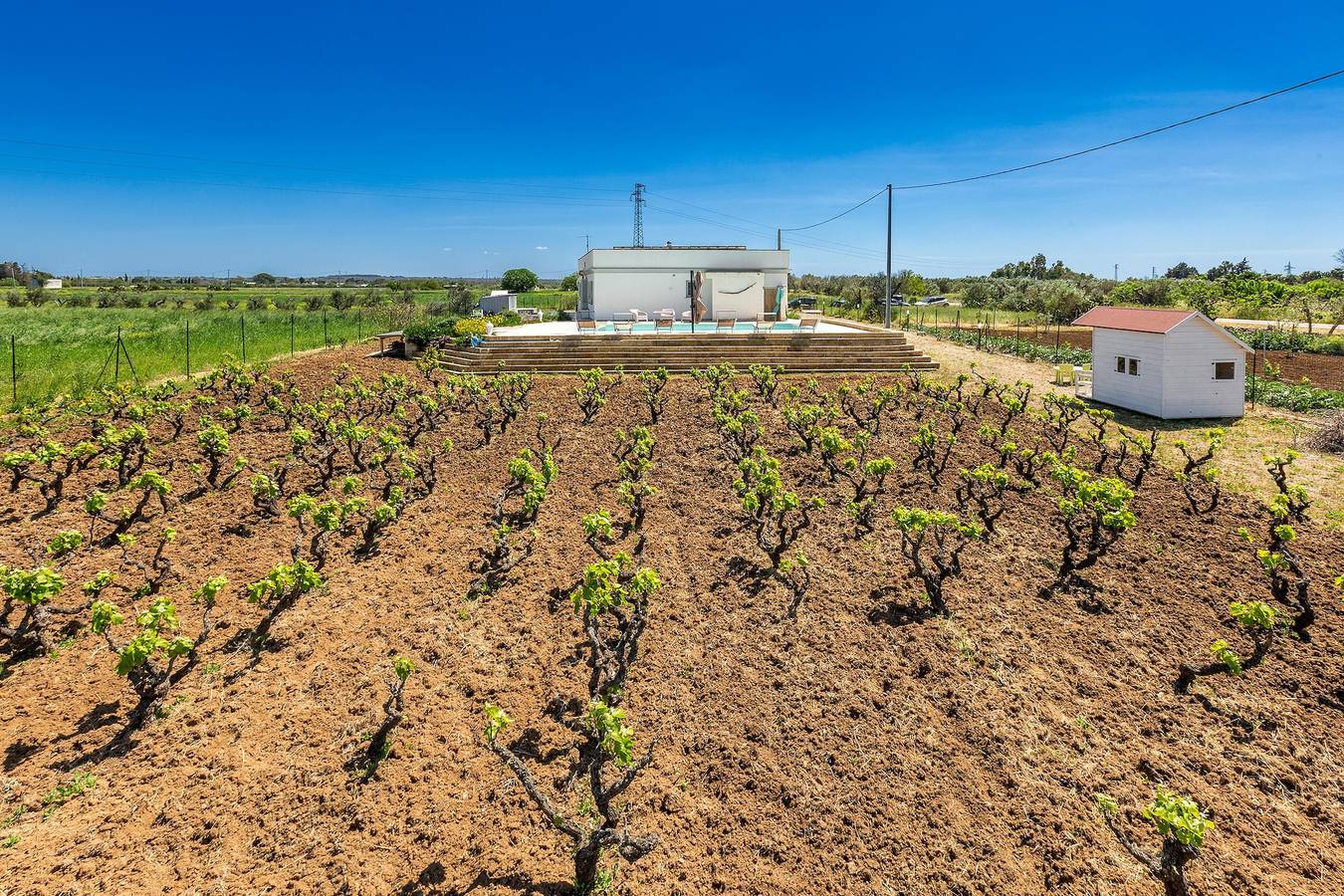 Villa Il Neto by Perle di Puglia in Casarano, Golfo di Taranto